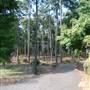 Gayla Mize Garden