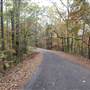 Davey Dogwood Park