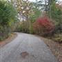 Davey Dogwood Park