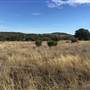 Old Ponderosa Ranch
