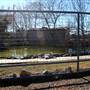Animal World and Snake Farm