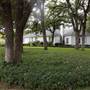Graham Residential