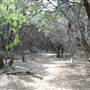Cedar Hill State Park - Talala Trail