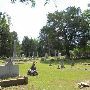 Cemetery in Palestine