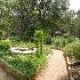 Zilker Botanical Gardens