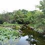 Zilker Botanical Gardens