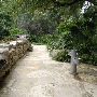 Zilker Botanical Gardens