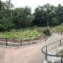 Zilker Botanical Gardens