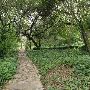 Zilker Botanical Gardens
