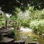 Zilker Botanical Gardens