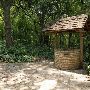 Zilker Botanical Gardens