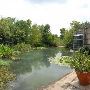 Austin Nature and Science Center