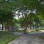 San Antonio