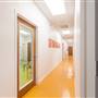 Squash Blossom Studios