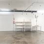 Squash Blossom Studios