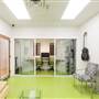 Squash Blossom Studios