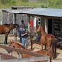 County Line Polo Club