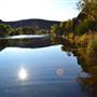 Madrone Ranch