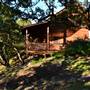 Madrone Ranch