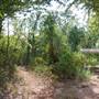 Quitman Arboretum
