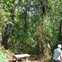 Quitman Arboretum