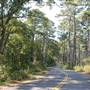 Tyler State Park