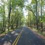 Tyler State Park