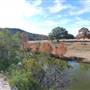 Henly Hill Ranch