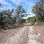 Henly Hill Ranch