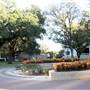 McLennan Community College