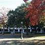 McLennan Community College