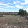 Longhorn River Ranch