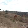 Longhorn River Ranch