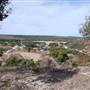Longhorn River Ranch