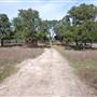 Longhorn River Ranch