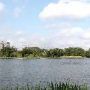 Hermann Park