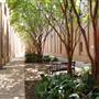 University of Texas Rio Grande Valley - Edinburg Campus