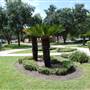 University of Texas Rio Grande Valley - Edinburg Campus