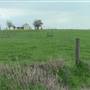 Maeshill Farm
