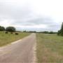 Storm Ranch