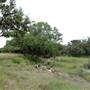 Storm Ranch