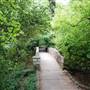 Davis Park