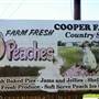 Cooper Farms