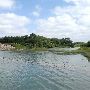 Llano River near Llano