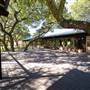 Camp Lucy