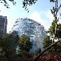 Houston Museum of Natural Science