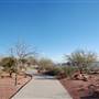 Tom Lea Upper Park