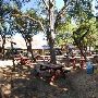 Gruene Hall