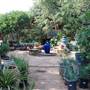 Hill Country Water Gardens & Nursery