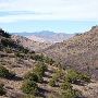 Davis Mountains State Park